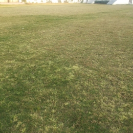 IMG-20160120-WA0029